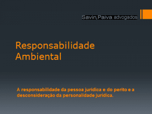 Responsabilidade Ambiental da Pessoa Jurídica